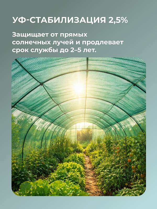 /upload/resize_cache/iblock/594/800_800_0/j0zf5f0uxkmvbyr75q8bxfts0jo3sgp8.jpg