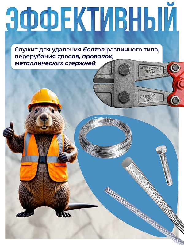 /upload/resize_cache/iblock/a86/800_800_0/202jc97izep4s1el9kfwyybypitvlss9.jpg