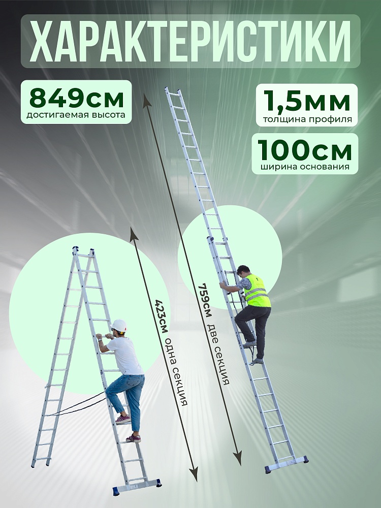 Лестница двухсекционная Alumet Ал 6215 фото 2